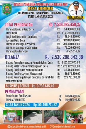 Realisasi APBDes Tahun Anggaran 2024